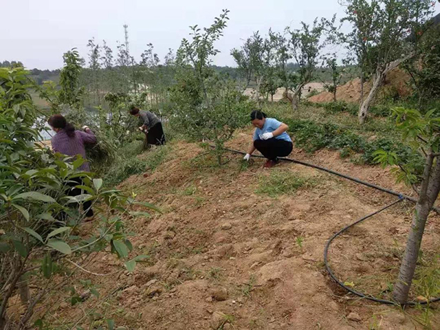 &#20159;&#24503;&#20307;&#32946;&#40;&#20013;&#22269;&#41;&#20307;&#32946;&#23448;&#26041;&#32593;&#31449;