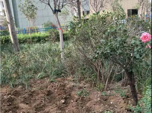 &#20159;&#24503;&#20307;&#32946;&#40;&#20013;&#22269;&#41;&#20307;&#32946;&#23448;&#26041;&#32593;&#31449;
