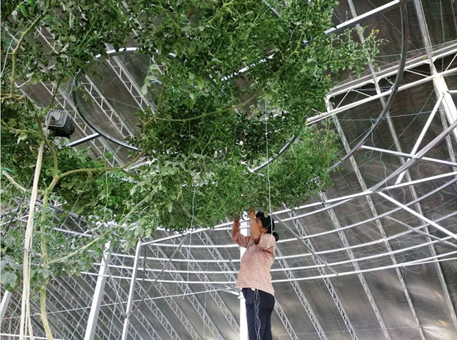 &#20159;&#24503;&#20307;&#32946;&#40;&#20013;&#22269;&#41;&#20307;&#32946;&#23448;&#26041;&#32593;&#31449;