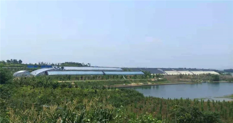 &#20159;&#24503;&#20307;&#32946;&#40;&#20013;&#22269;&#41;&#20307;&#32946;&#23448;&#26041;&#32593;&#31449;